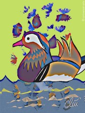 JACQUELINE DITT - Mandarinente