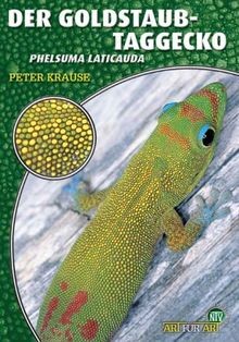 Der goldstaub taggecko von - goldstaub-taggecko,