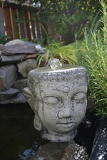 Feng shui buddhakopf - shui,