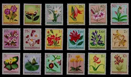 Blumen orchideen belgisch - -orchideen,
