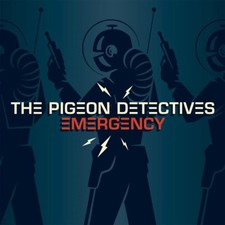 Pigeon detectives notfall - pigeon,