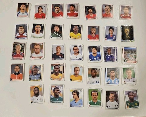 Panini 2010 south - wm,