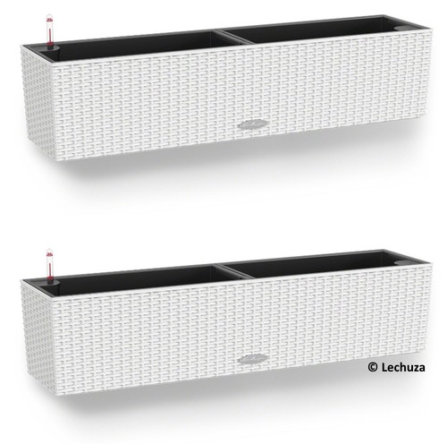 2er set lechuza - set, lechuza®
