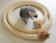 Papageienspielzeug Sitzseil