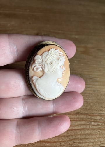 Muschel kamee brosche gemme - muschel,