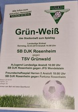 2018/19 Landesliga SB DJK