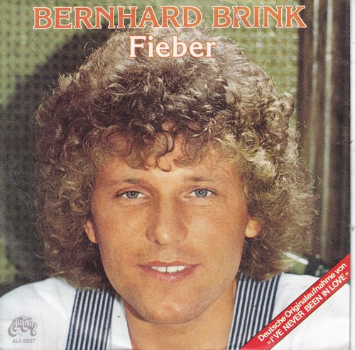 2511 bernhard brink fieber - -2511-,