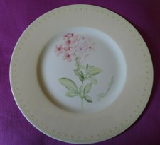 Villeroy FLOREA FLORIS Kuchenteller 22 cm Sehr gut  / 3 da  / Frühstücksteller