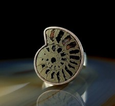 Ring Silber 800 Ammonit