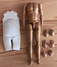 Dragon Did 1.6. Körper