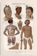 Ornamentale Tätowierung +Druck/Chromolitho von 1905 +Tattoo,Körperbemalung,Maori