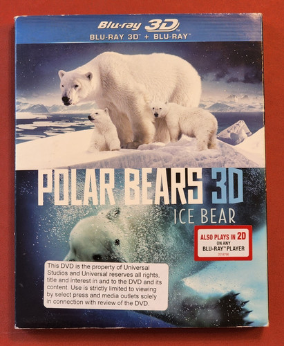 Polar bears ice bear - polar,