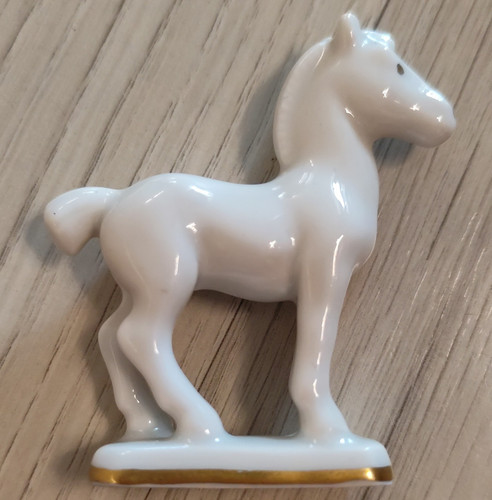 Stehendes fohlen aus weiß - stehendes,