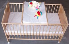 Kinder-/Jugendbett Dino Buche