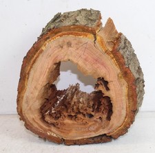 Hohle Baumscheibe Pflaume Holzscheibe DEKO mit Loch ca. 20x19cm Bastelholz