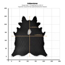 AUTOLEDER schwarz VW VIENNA