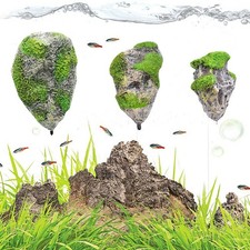 Schwimmende Moosfelsen