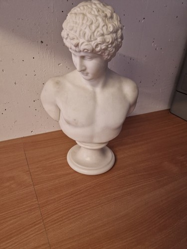 Büste des antonius marble - büste,