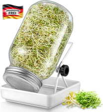Sprossenglas set mit filter - set,