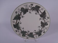 ""Wedgwood Napoleon Ivy grau grün Efeu Teller Dessertteller Brotteller 20,5 cm