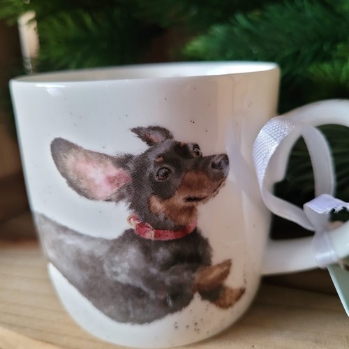 Tasse hund dackel rauhaar - tasse,