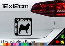 Husky Inside Aufkleber Sticker Hund im Auto Alaskan Malamute Siberian 12x12cm