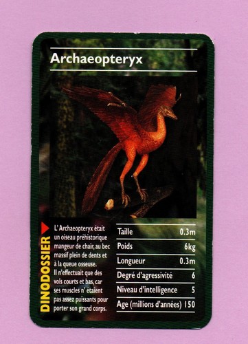 Dino dossier archaeopteryx - archaeopteryx, (