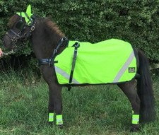 Carriage driving waterproof - driving,