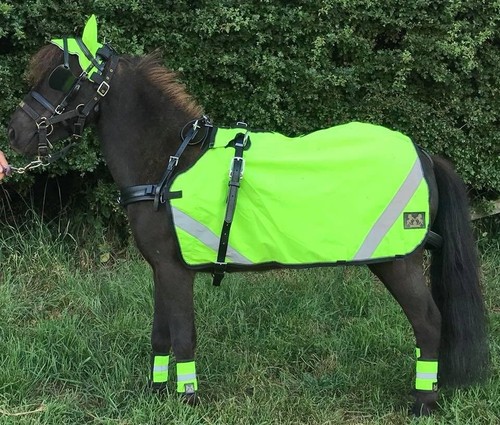 Carriage driving waterproof - driving,
