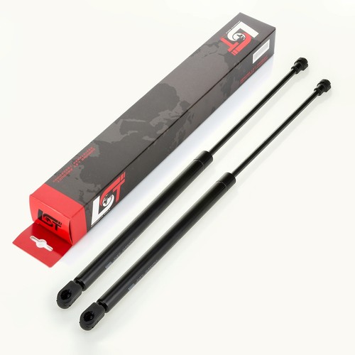Gasdruckfeder lifter - 2x,