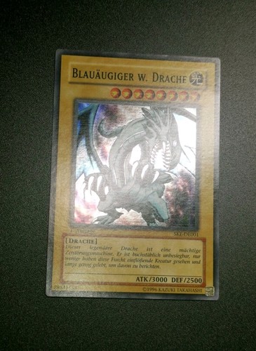 Blauäugiger weißer - blauäugiger,