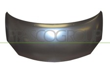 Motorhaube für Renault -