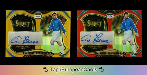 Gold ciro ferrara auto - ciro,