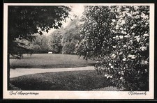 Bad Lippspringe, Kurpark