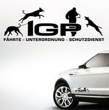 DOBERMANN unkupiert IGP