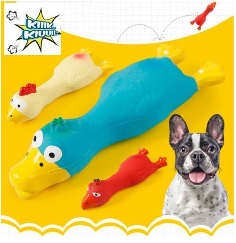 Buntes hundespielzeug - buntes,