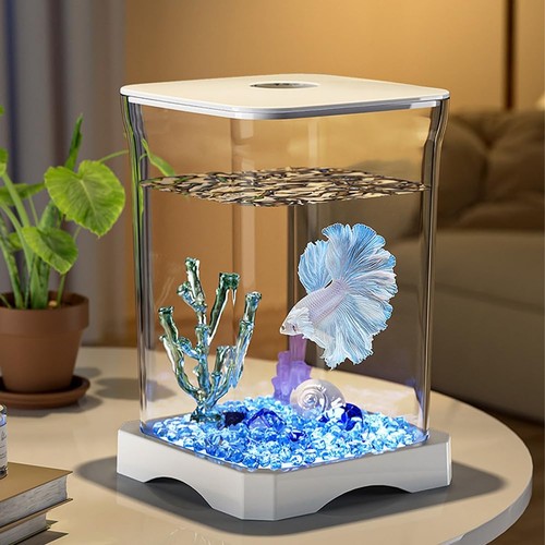 Fischtank aquarium mit - aquarium,