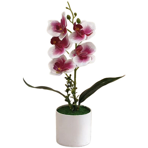 Künstliche phalaenopsis - künstliche,