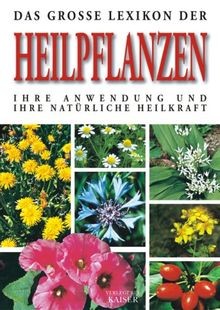Das große lexikon der - das,
