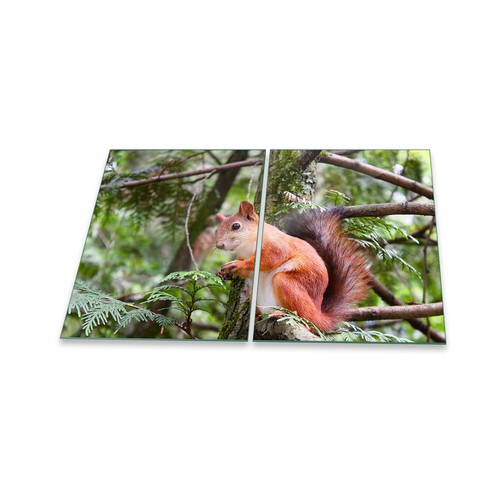 Herdabdeckplatte ceran - herdabdeckplatte,