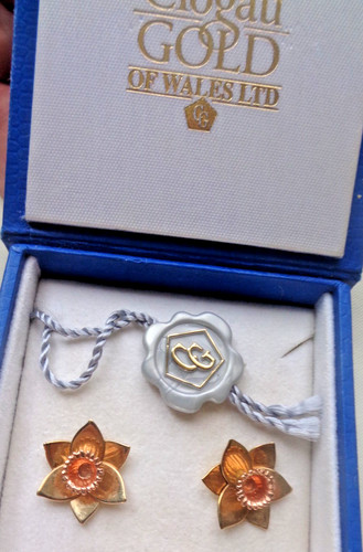 Clogau gold narzisse ohrringe - gold,