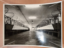 Foto Tränkbecken Vieh Stalleinrichtung Landwirtschaft Traktor photo FS