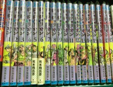 JoJo's Bizarre Adventures