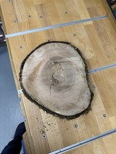 Esche Baumscheibe Zum Basteln