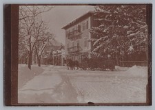 Munich 1909 - Winter Sleigh