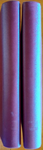 Safe ringbinder - safe, (14-loch)