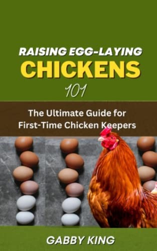 Raising egg laying chickens - egg-laying,