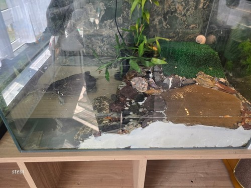 Glas terrarium becken mit - glas-terrarium/becken,
