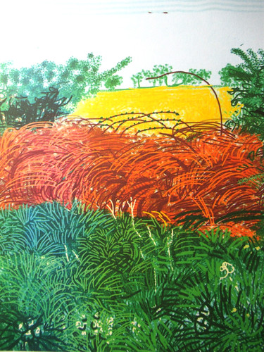 David hockney lithographie - david,