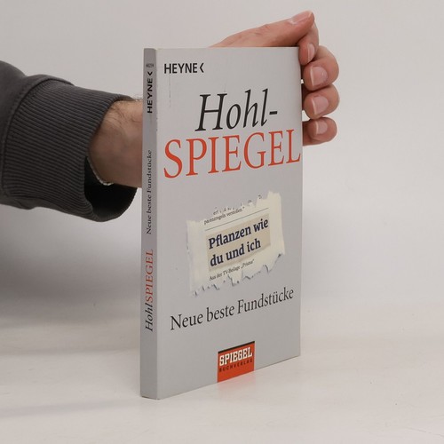 Hohl-Spiegel